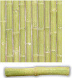 Bambú Decorativo Lima